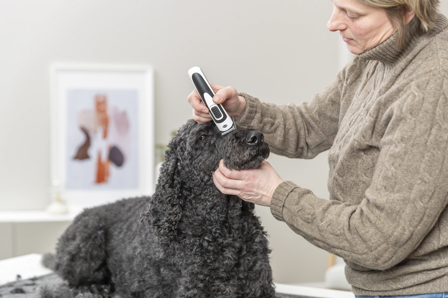 Trixie Trådløs Potetrimmer SLIM TR500
